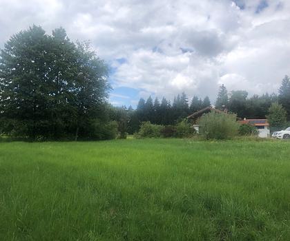 Idyllisches Grundstück an Bachlauf vor den Toren Münchens im schönen Penzberg
