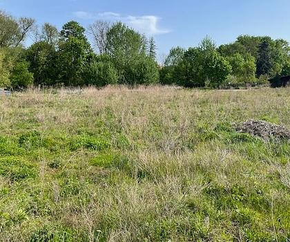 Baugrundstück in Wunschgröße - Verwirklichen Sie Ihren Traum vom Eigenheim in ländlicher Idylle
