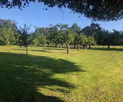 Obstgarten am Wörthsee: 5.462 m² eingezäuntes Freizeitgrundstück mit über 50 Obstbäumen!