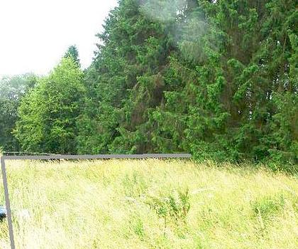 Lissendorf Baugrundstück Ecklage Erschlossen gerader Schnitt