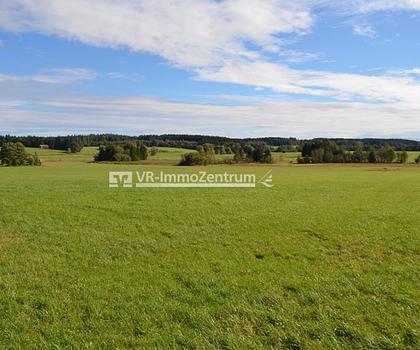 landwirtschaftliche Fläche - Wiese