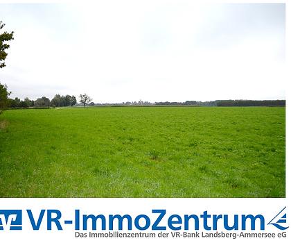 mehrere sonnige Wiesenflächen