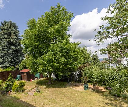 EFH mit ELW, Sonnenterrasse, Garage und Carport bei Mainz // Kauf auf Nießbrauchbasis