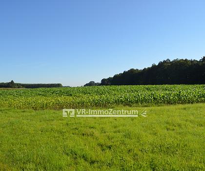 Wiese- und Ackerfläche