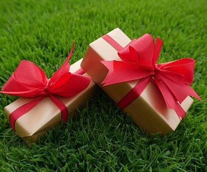 Bezugsfreie Dachgeschoss-Wohnung im Grünen