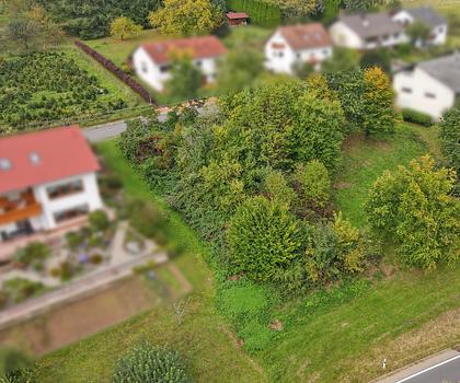 Elztal-Rittersbach: Erstklassiges Baugrundstück mit Entfaltungsoptionen