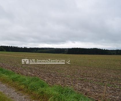 Große Ackerfläche - derzeit verpachtet