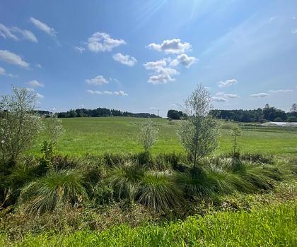 Landwirtschaftliche Flächen Mühldorf bei Halfing