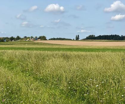 Landwirtschaftliche Flächen Mühldorf bei Halfing