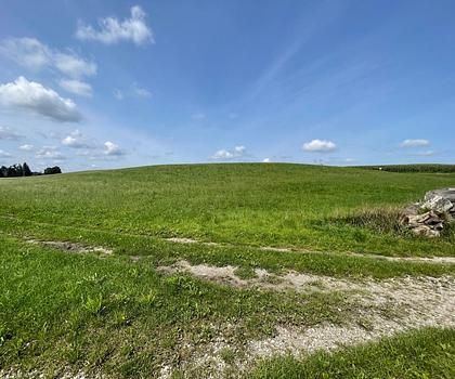 Landwirtschaftliche Flächen Mühldorf bei Halfing