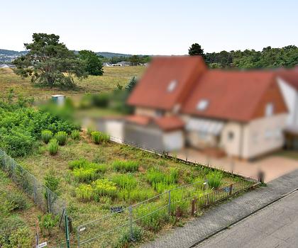 Großes Grundstück mit mehreren Bebauungsmöglichkeiten in beliebter Wohnlage