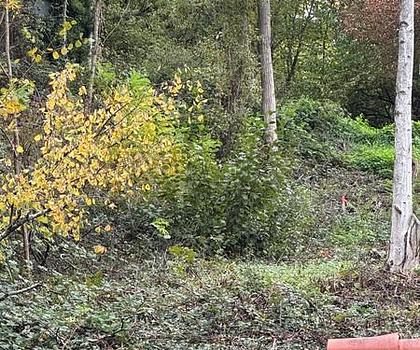 Am Rand des Pfälzer Waldes - Rheinebene vor sich - Auf den Spuren von Max Slevogt - 1 B Lage