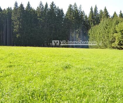 landwirtschaftliche Fläche - Wiese