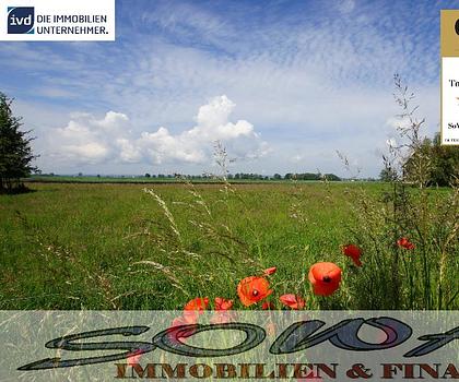 Bauplatz - für Einfamilienhaus oder Doppelhaus, ohne Bauzwang in Stengelheim - Ein Objekt von SOWA Immobilien & Finanzen Ihrem Immobilienprofi vor Ort