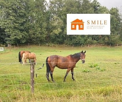 Polen! Pferde Ranch auf 120 ha nahe der deutschen Grenze