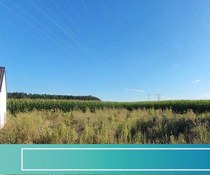 Baugrundstück in ruhiger Wiesenrandlage mit 1090m² Baugenehmigung für Ihr Haus bereits vorhanden