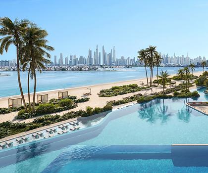 Neuestes Projekt auf der Palme