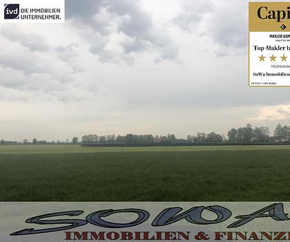 Großzügige Landwirtschaftsfläche oder Ausgleichsfläche in Königsmoos - Ein Objekt von SOWA Immobilien & Finanzen Ihrem Immobilienprofi vor Ort