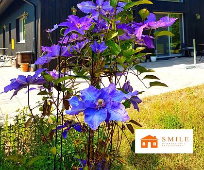 Hier trifft die Moderne auf die Tradition! Tolle Haus in herrlicher Naturlandschaft, 30 Minuten von Karlstad