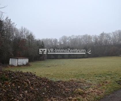 landwirtschaftliche Fläche - Wiese