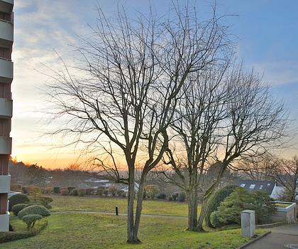 Perfekt geschnittene 4-Zimmer-Wohnung am Geigersberg
