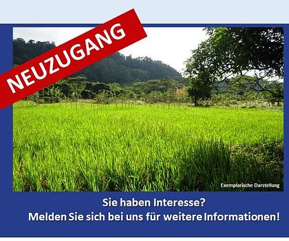 Großzügige Landwirtschaftsfläche oder Ausgleichsfläche zu verkaufen in Syrgenstein - Ein Objekt von SOWA Immobilien & Finanzen Ihrem Immobilienprofi vor Ort