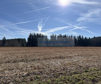 Spekulations-Bauerwartungs- Grundstück -  aktuell ist es landwirtschaftlich genutzt