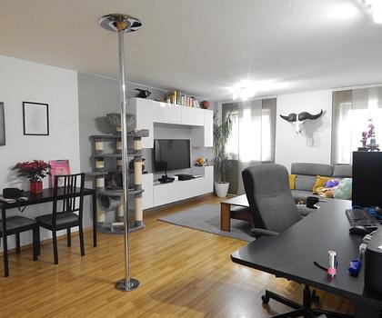 Gepflegte, vermietete 2-Zimmerwohnung mit Garten in Freilassing, Ortsteil Hofham - inkl. TG Platz.