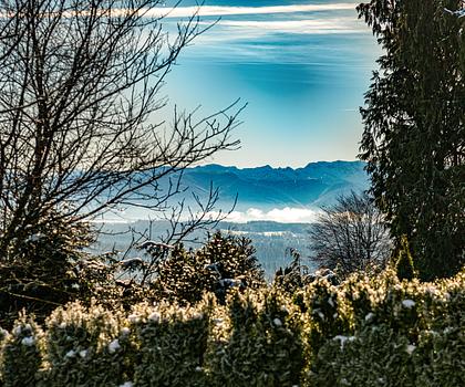 Ruhiges Landidyll: Großzügige Villa mit hochwertiger Ausstattung und traumhaftem Garten