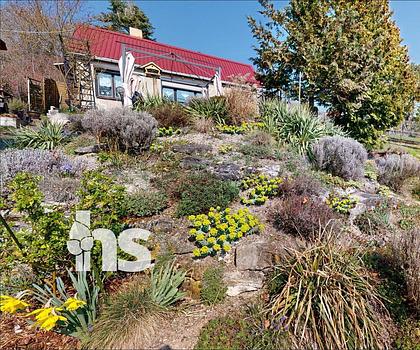 PROVISIONSFREI: Ferienhaus bei Freyburg mit großem Grundstück & Wohnhaus-Genehmigung