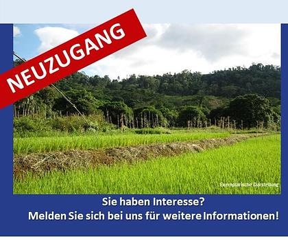 Großzügige Landwirtschaftsfläche in Untermaxfeld - Ein Objekt von SOWA Immobilien & Finanzen Ihrem Immobilienprofi vor Ort