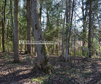 Kleines Waldgrundstück