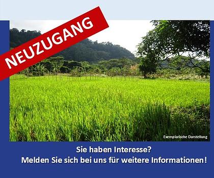 Großzügige Landwirtschaftsfläche / Wiese in Königsmoos, evtl. Ausgleichsfläche oder PV - Ein Objekt von SOWA Immobilien & Finanzen Ihrem Immobilienprofi vor Ort