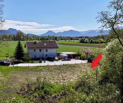 Schönes Baugrundstück in Seenähe bei Happing - Grundstück West