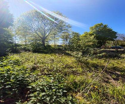 Baugrundstück in Willich Neersen naturhahe Lage an der Niers mit Potenzial