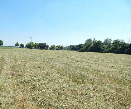 Landwirtschaftlicher Grund als Geldanlage - in 84529 Tittmoning/Südbayern, Nähe Leitgeringer See