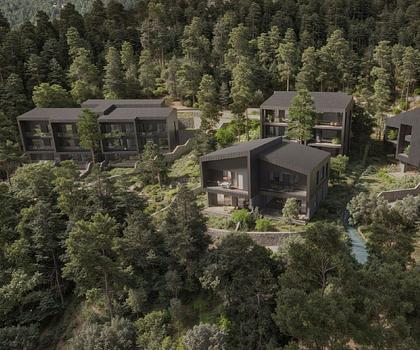Blackpine beim Berengaria Hotel